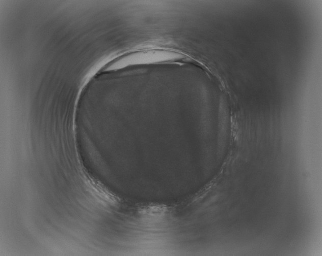 X0000076100196200610202144