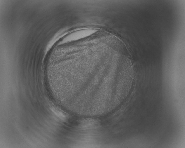 X0000076100198200610202144