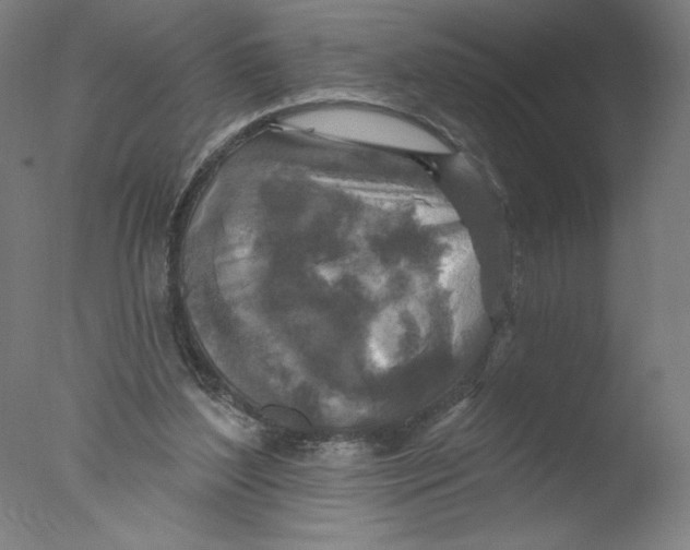 X0000076100204200610202144
