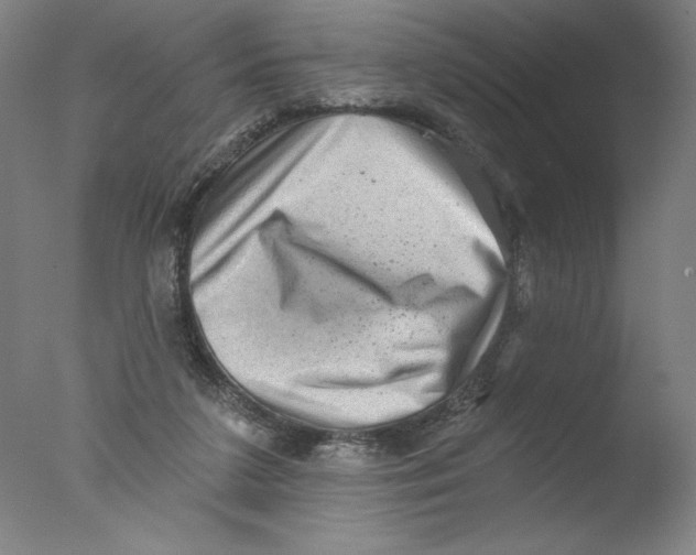 X0000076100211200610202144