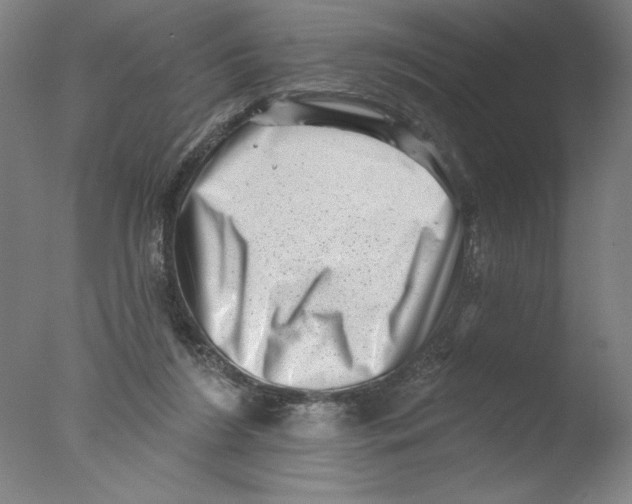 X0000076100212200610202144