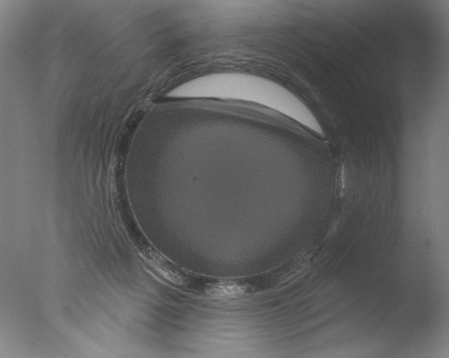 X0000076100217200610202144