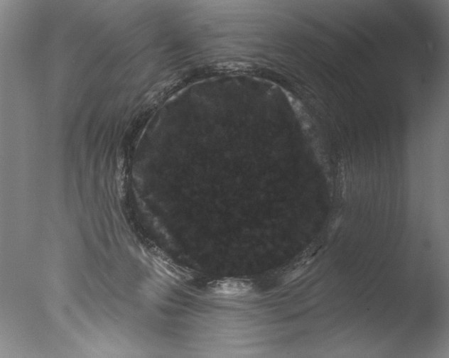X0000076100223200610202144