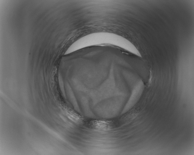 X0000076100229200610202144