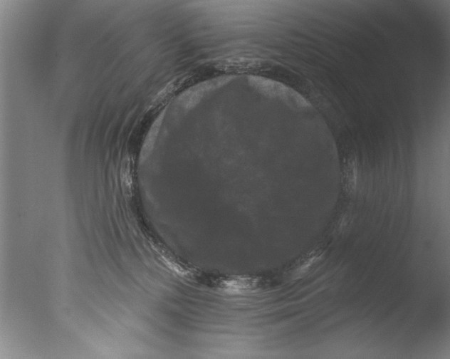 X0000076100232200610202144