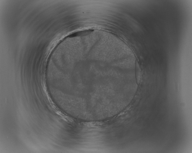 X0000076100241200610202143