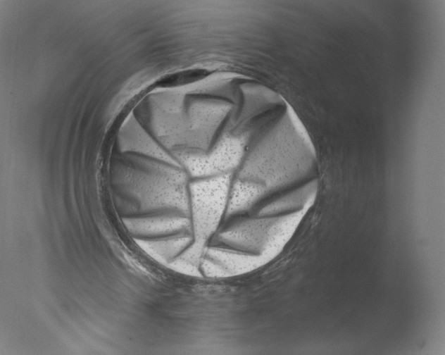 X0000076100242200610202143