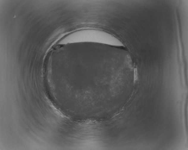 X0000076100243200610202143