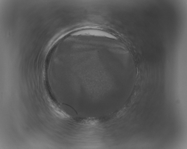 X0000076100247200610202143