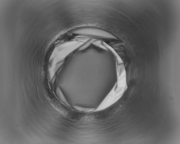 X0000076100252200610202143