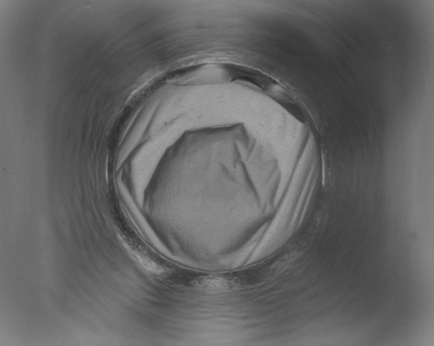 X0000076100253200610202143