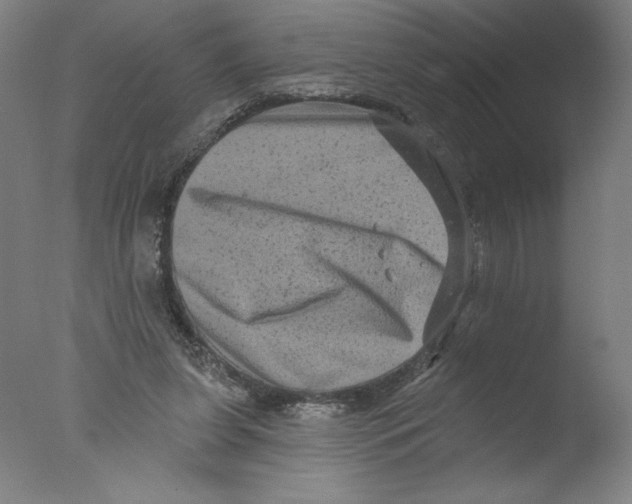 X0000076100255200610202143