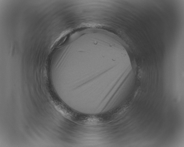 X0000076100256200610202143