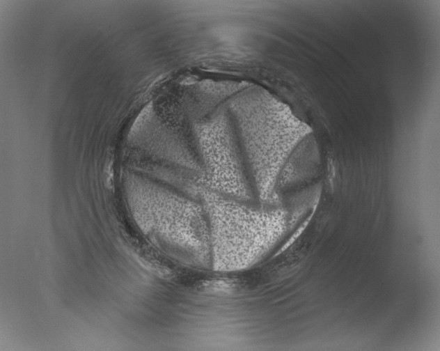X0000076100259200610202143
