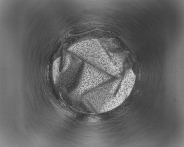 X0000076100263200610202143