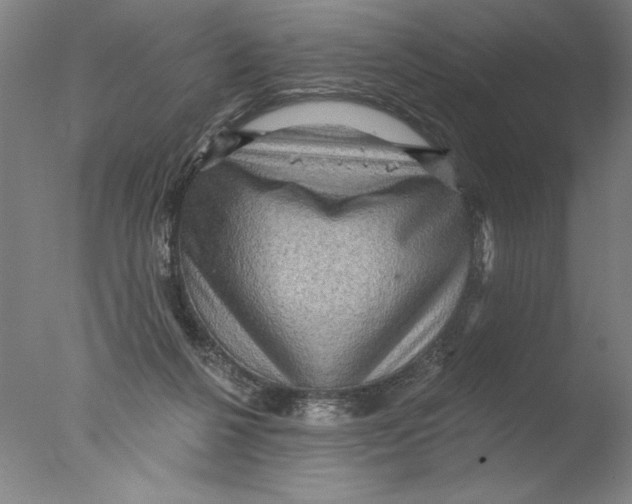 X0000076100264200610202143
