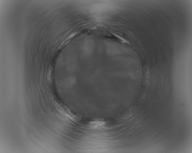 X0000076100266200610202143
