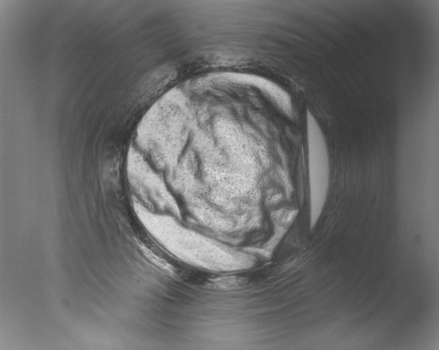 X0000076100269200610202143