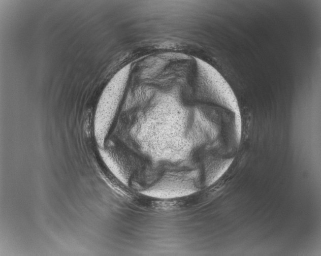 X0000076100273200610202143