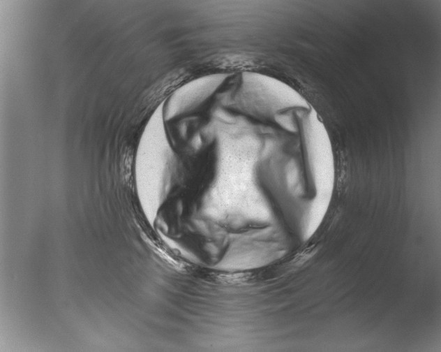 X0000076100281200610202143