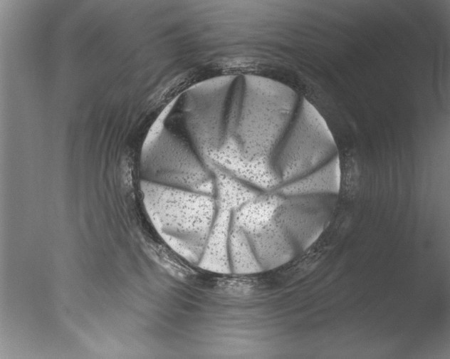 X0000076100282200610202143