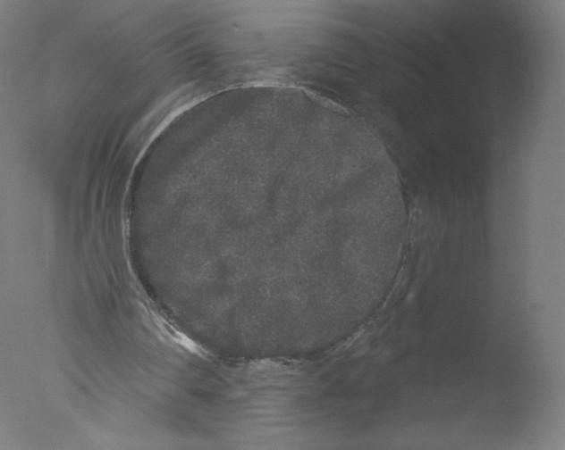 X0000076100290200610202143