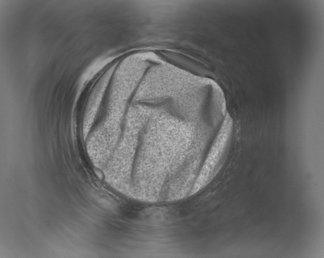 X0000076100294200610202143