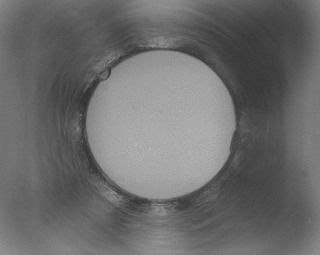 X0000076100305200610202142