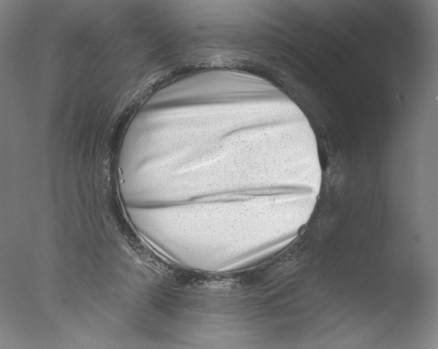 X0000076100306200610202142