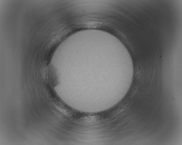 X0000076100307200610202142