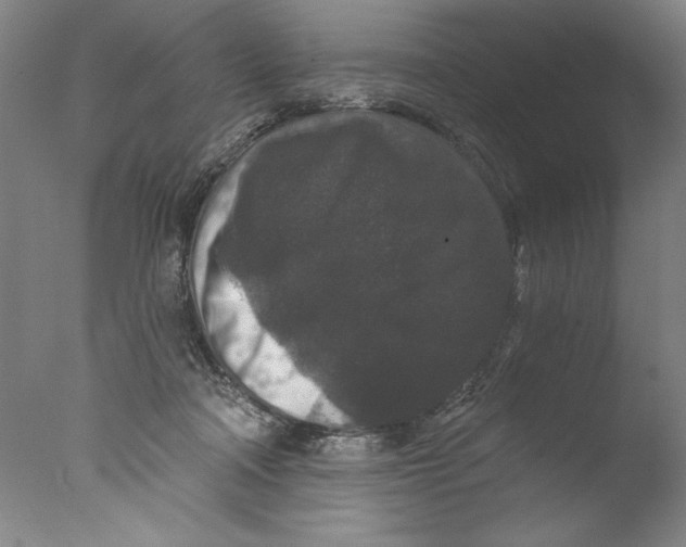 X0000076100314200610202142