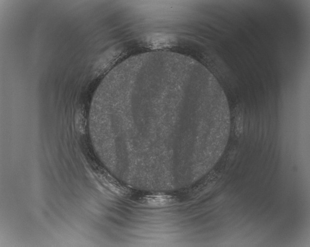 X0000076100316200610202142