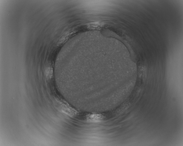 X0000076100324200610202142