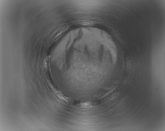 X0000076100325200610202142