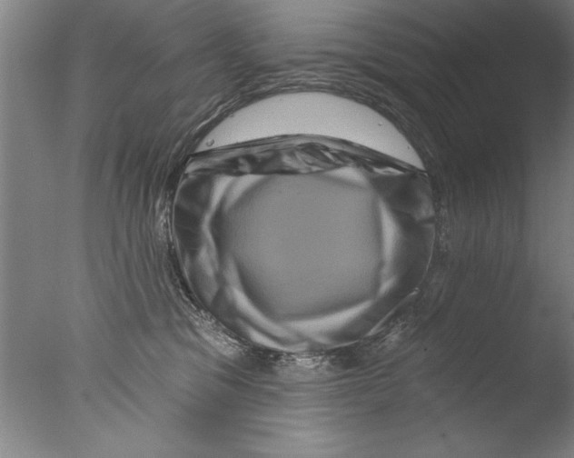 X0000076100329200610202142