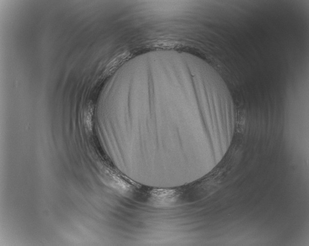 X0000076100334200610202142