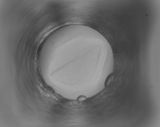 X0000076100338200610202141