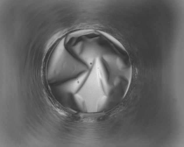 X0000076100340200610202141