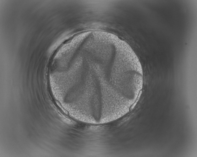 X0000076100341200610202141