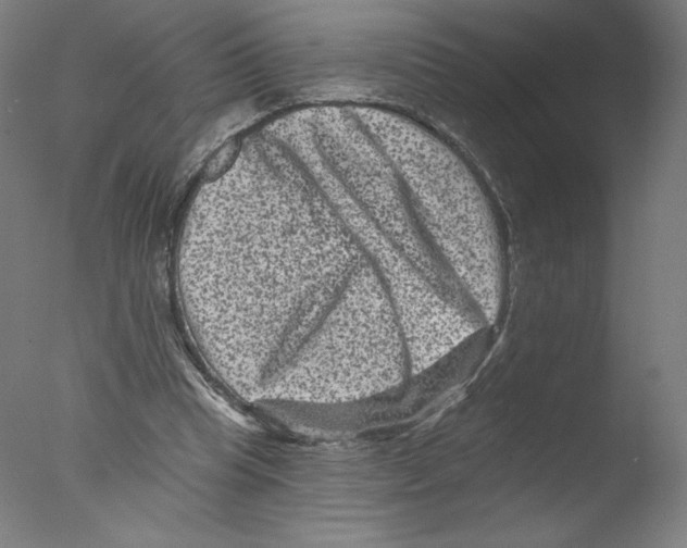 X0000076100345200610202141