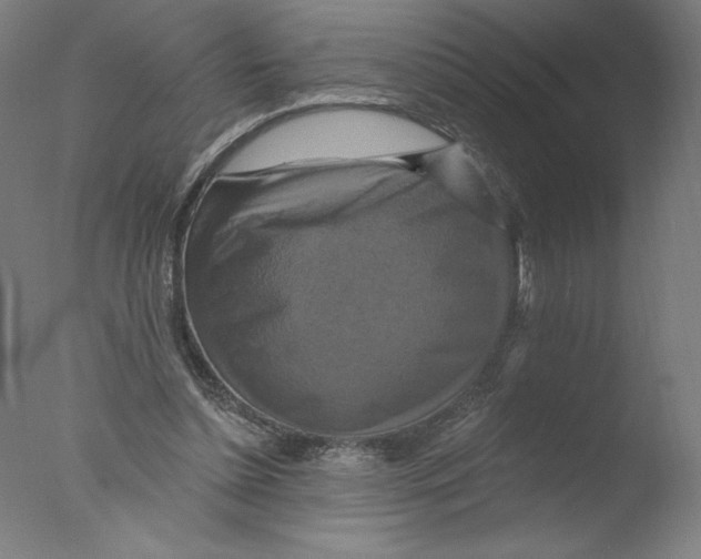 X0000076100348200610202141