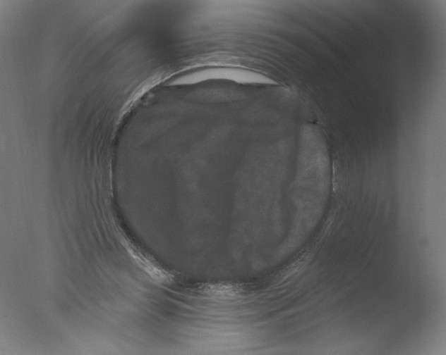 X0000076100349200610202141