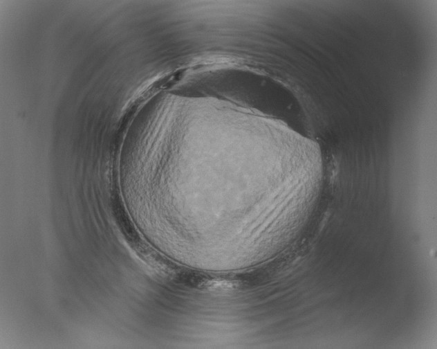 X0000076100352200610202141