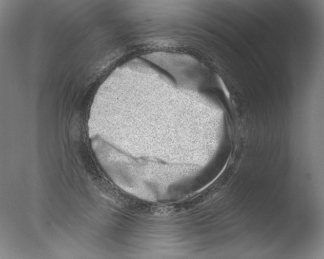 X0000076100355200610202141