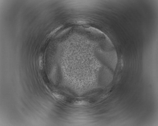 X0000076100360200610202142
