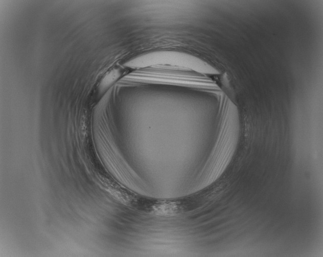X0000076100362200610202142