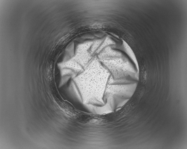 X0000076100364200610202142