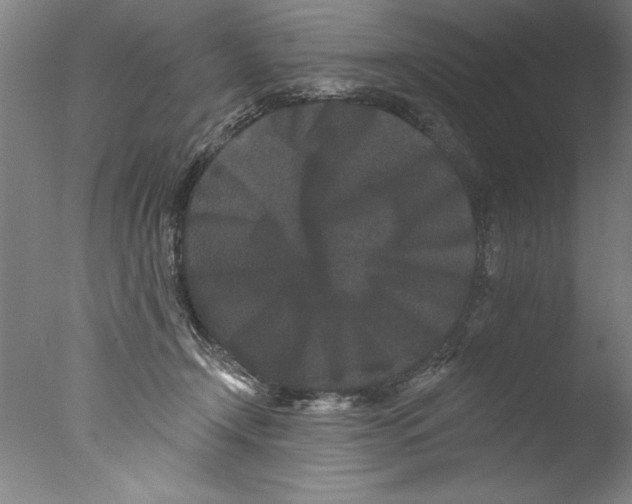 X0000076100366200610202142