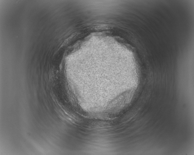 X0000076100367200610202142