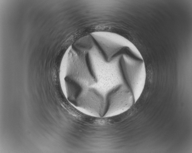 X0000076100375200610202142